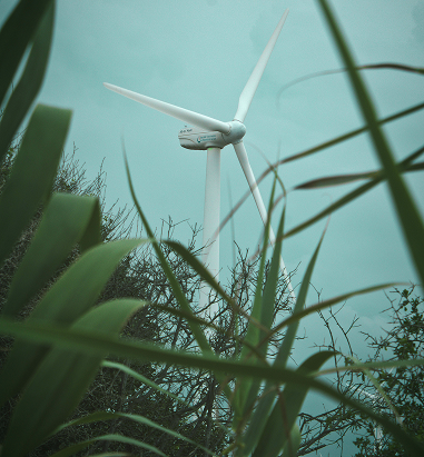 Renewable Energy